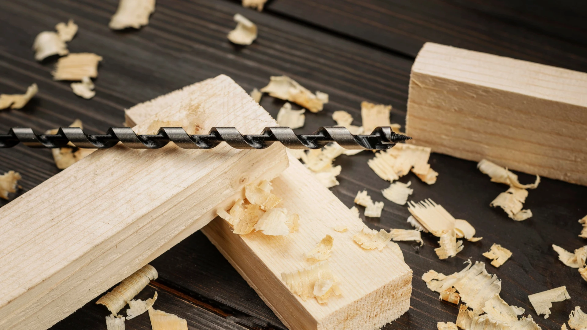 the biological resistance of wood